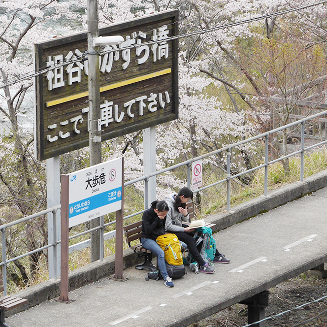 写真の説明を入れます