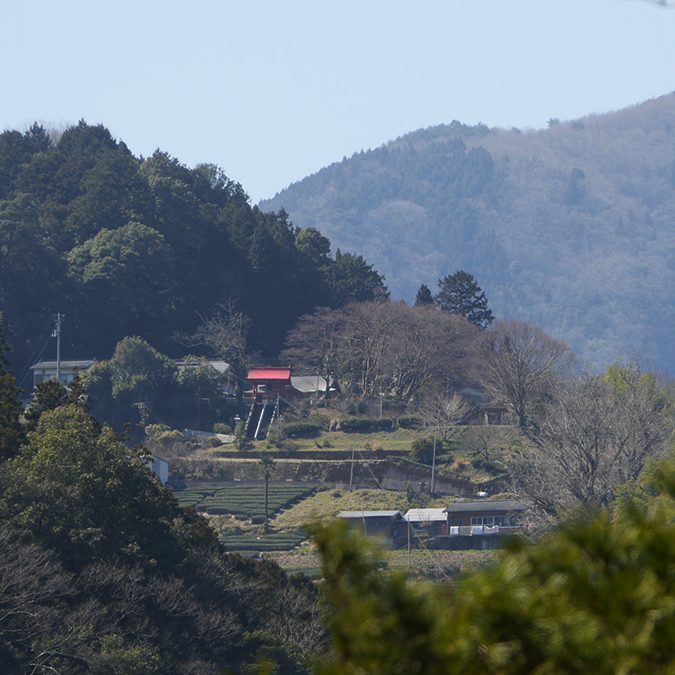 写真の説明を入れます