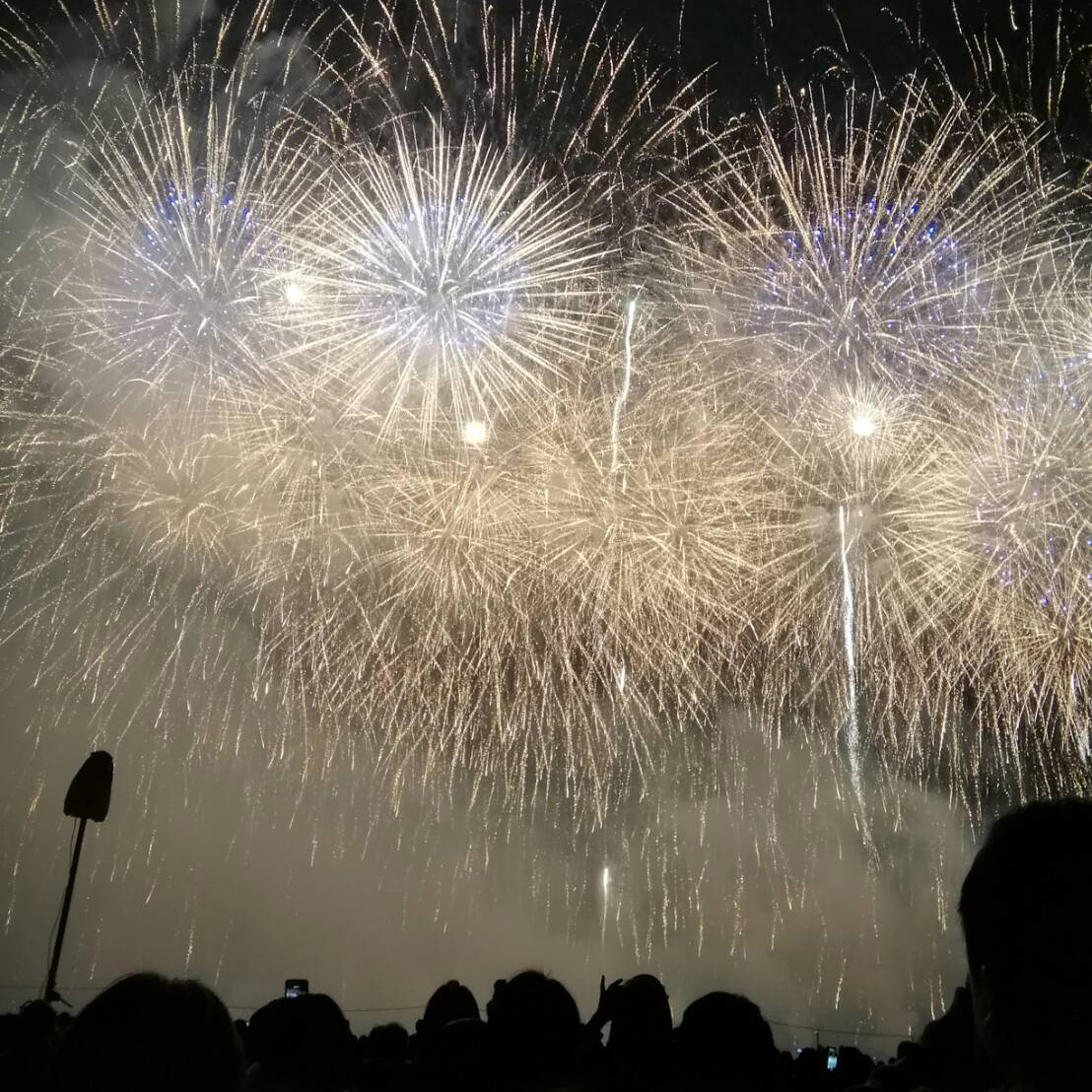 写真の説明を入れます
