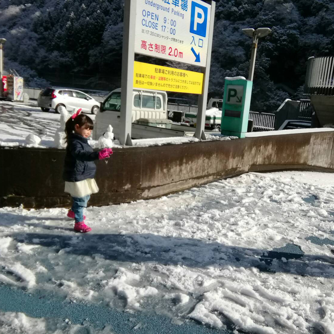 写真の説明を入れます